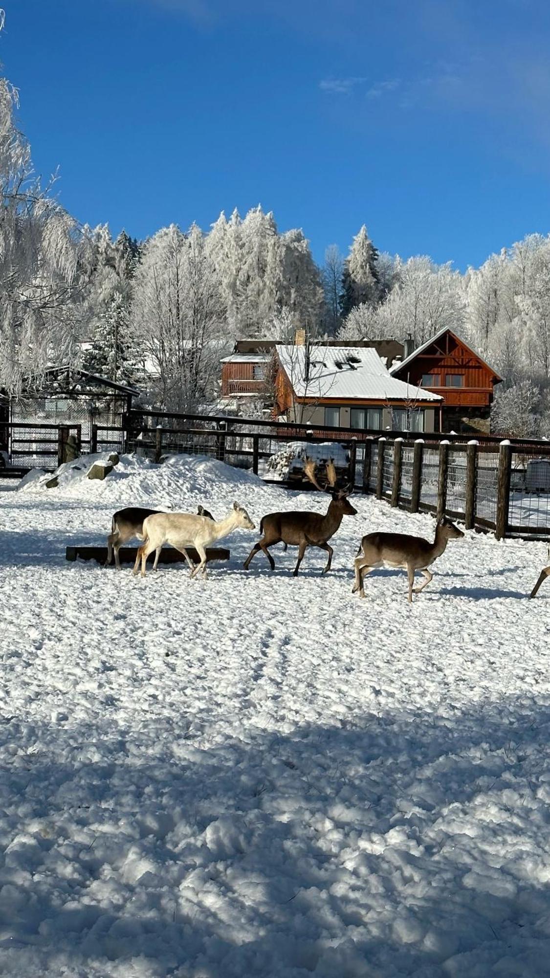 Hotel Farma Frantisek à Stachy Extérieur photo
