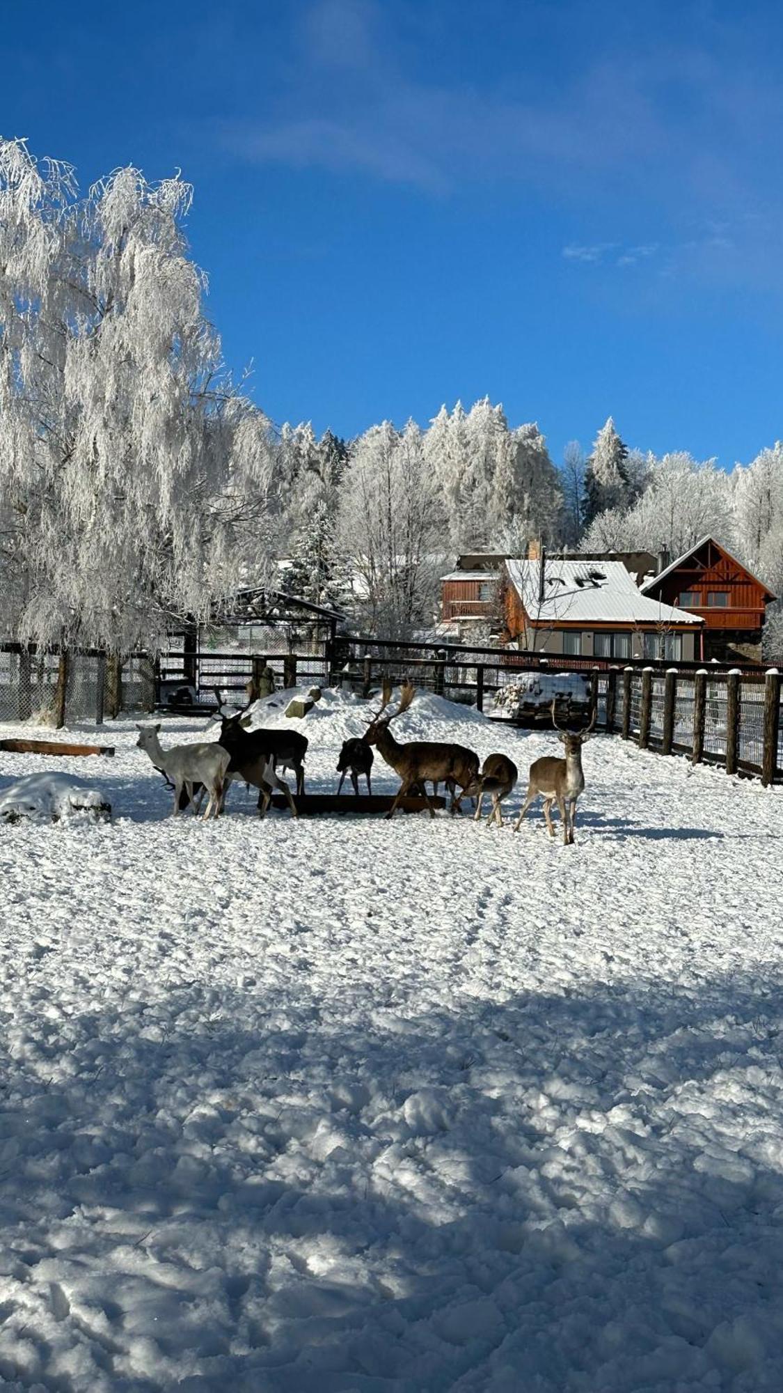 Hotel Farma Frantisek à Stachy Extérieur photo