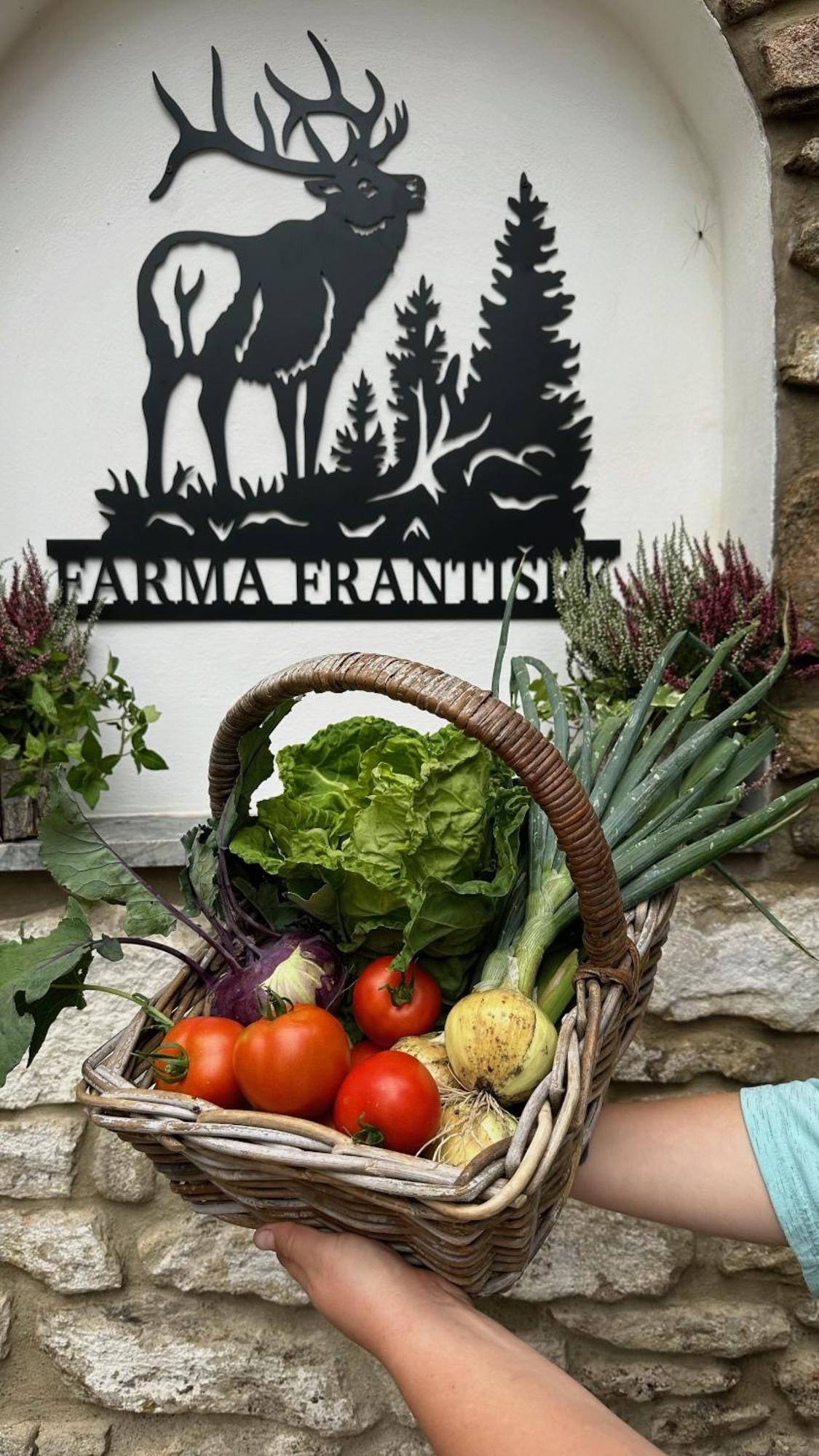Hotel Farma Frantisek à Stachy Extérieur photo